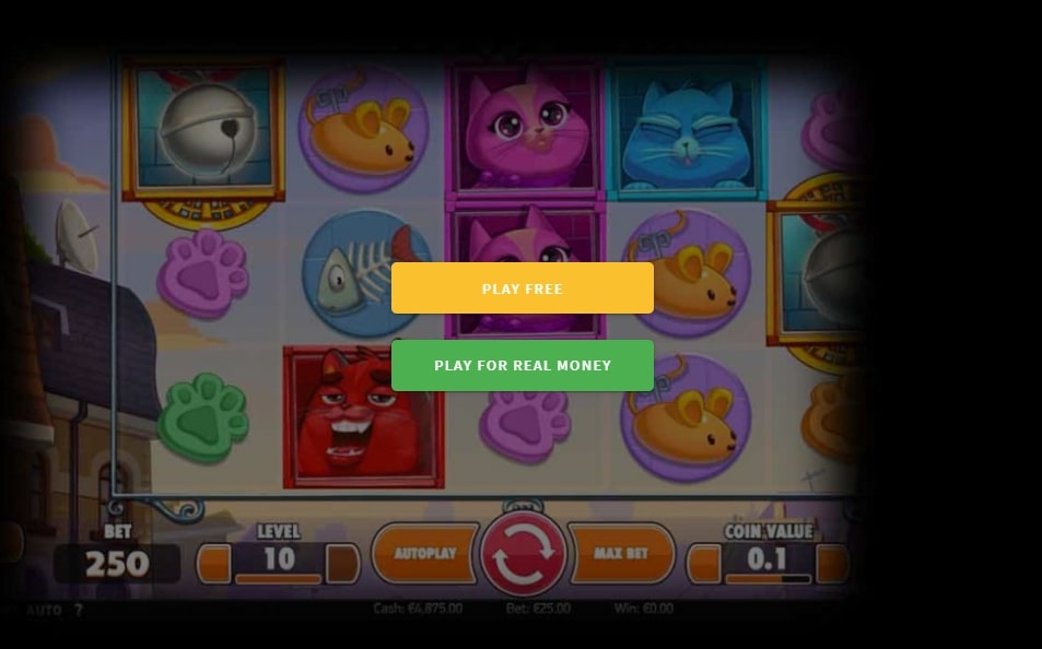 Copy Cats Slot Machine